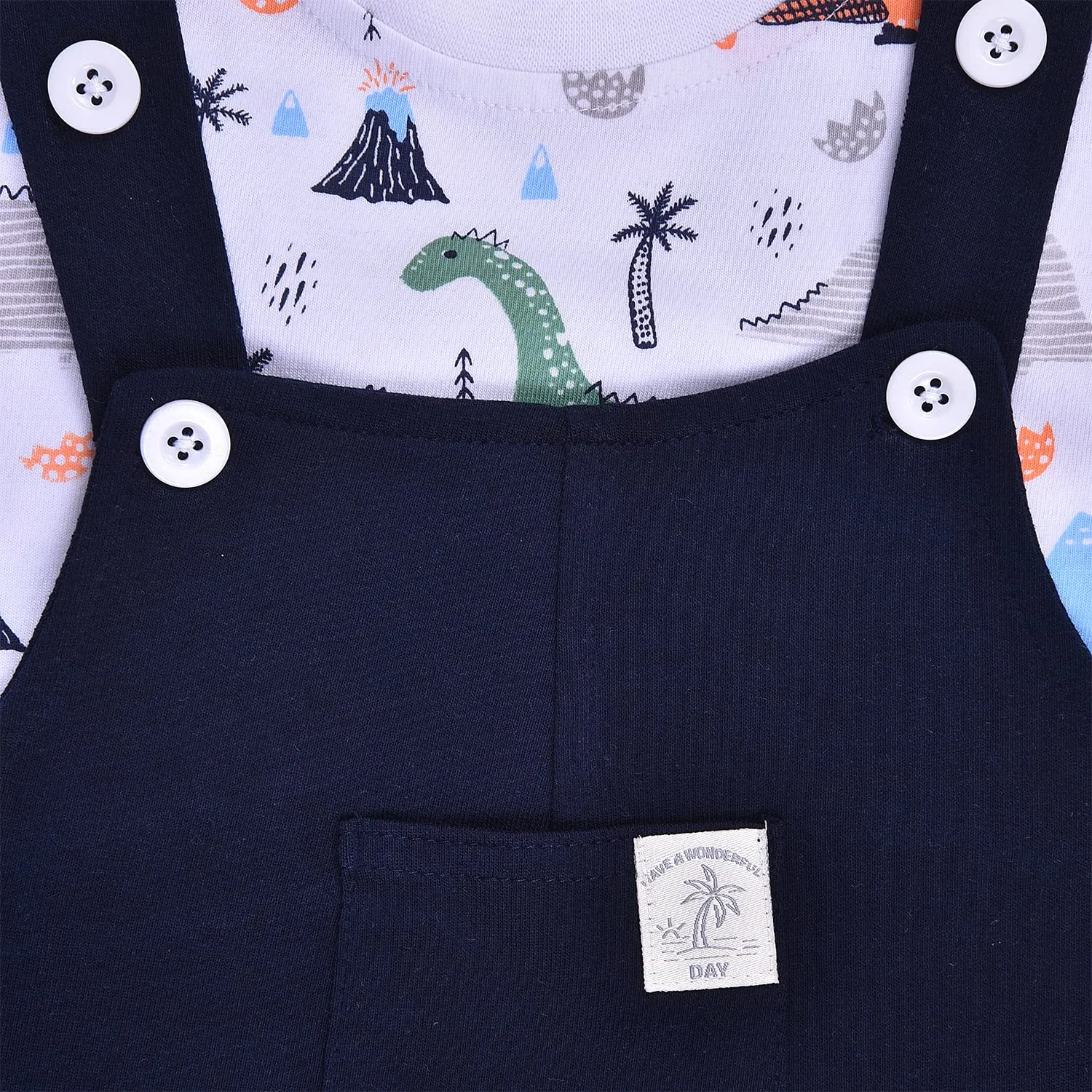 Baby Boys T-shirt and Dungaree