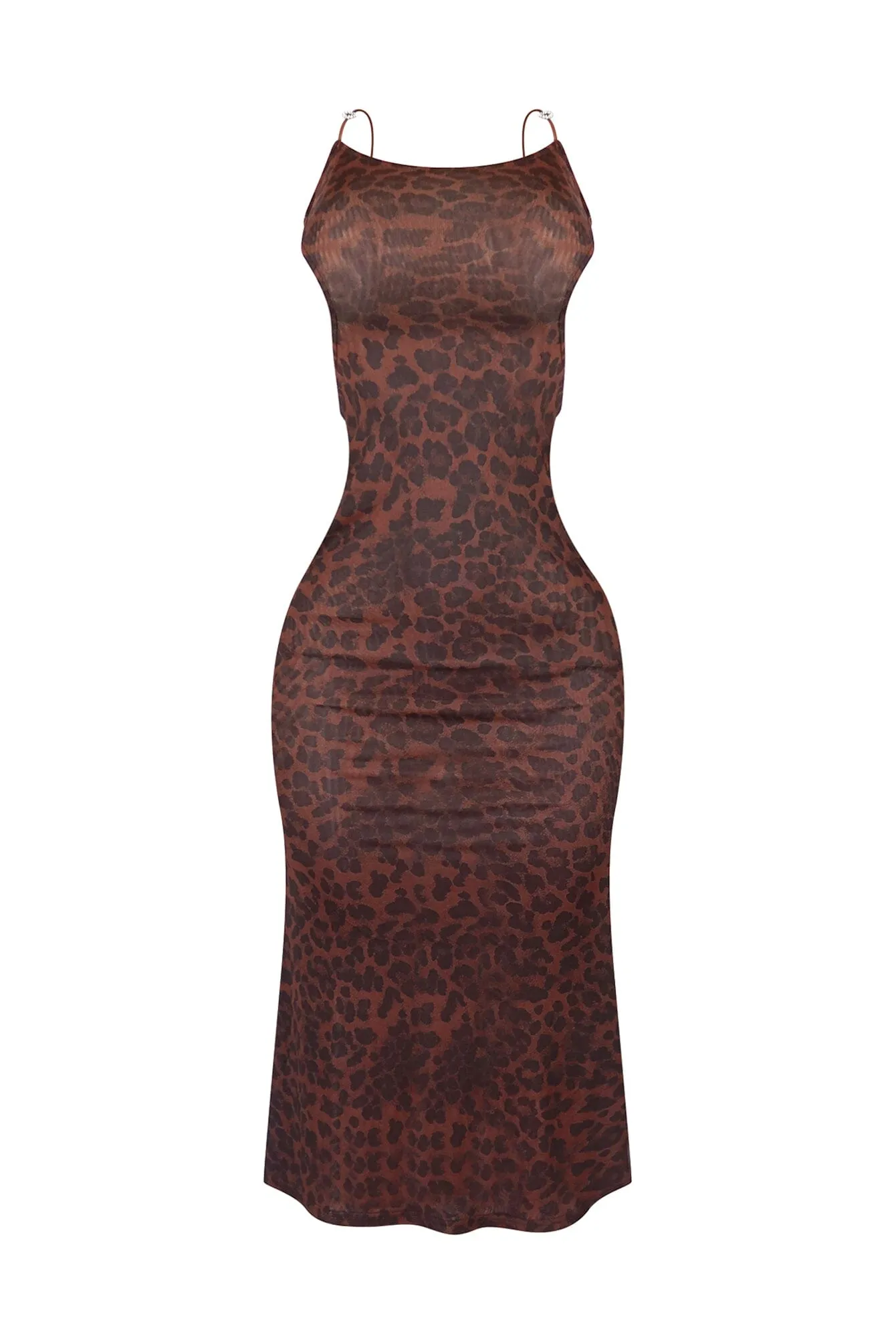 Born To Be Wild Print Mesh Long Dress